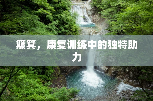 簸箕，康复训练中的独特助力