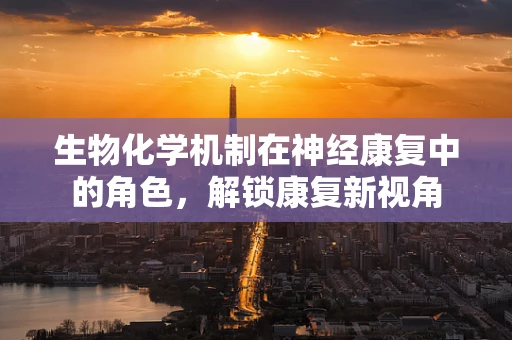 生物化学机制在神经康复中的角色，解锁康复新视角