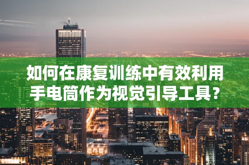 如何在康复训练中有效利用手电筒作为视觉引导工具？