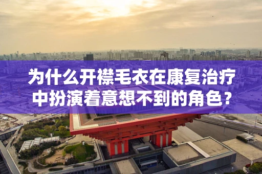为什么开襟毛衣在康复治疗中扮演着意想不到的角色？