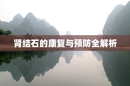 肾结石的康复与预防全解析