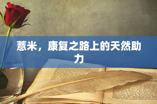 薏米，康复之路上的天然助力