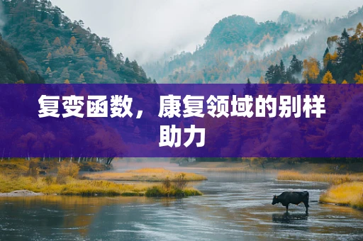 复变函数，康复领域的别样助力
