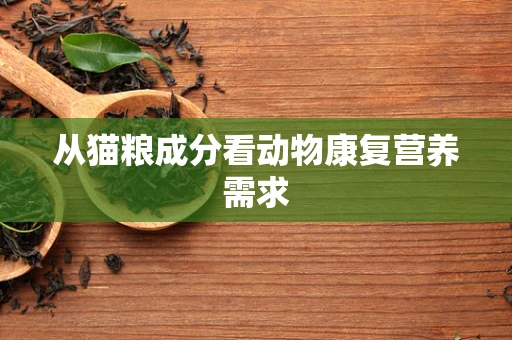 从猫粮成分看动物康复营养需求