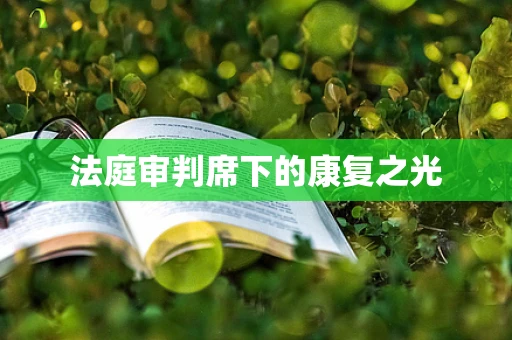 法庭审判席下的康复之光