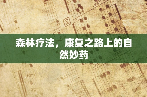 森林疗法，康复之路上的自然妙药
