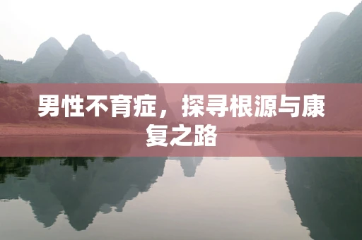 男性不育症，探寻根源与康复之路