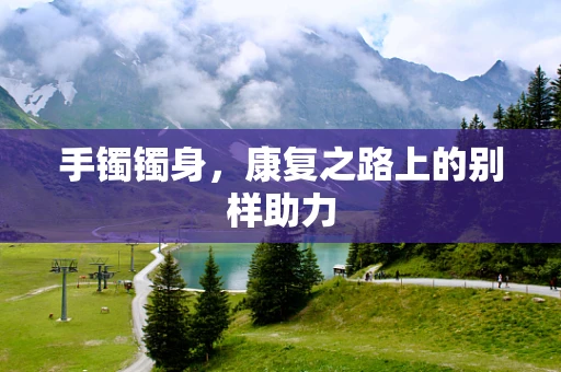 手镯镯身，康复之路上的别样助力