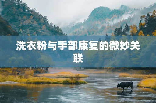洗衣粉与手部康复的微妙关联