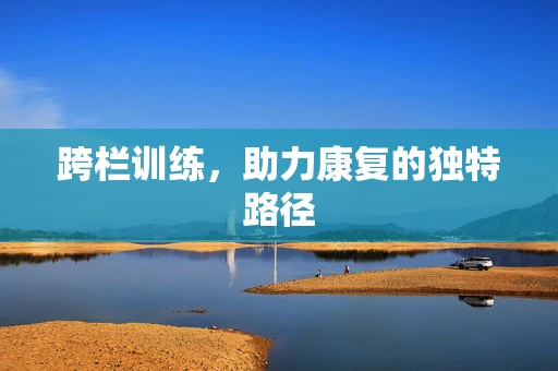 跨栏训练，助力康复的独特路径