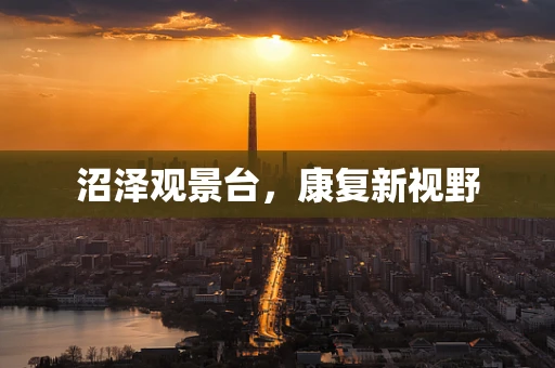 沼泽观景台，康复新视野