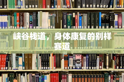 峡谷栈道，身体康复的别样赛道