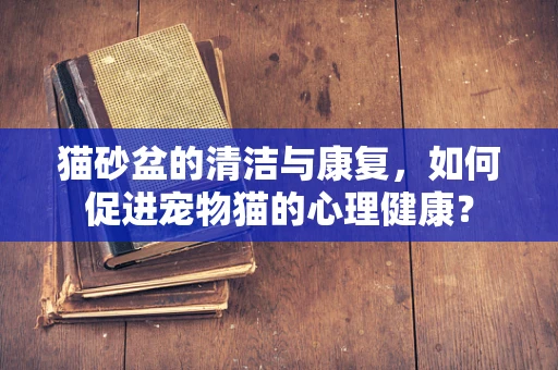 猫砂盆的清洁与康复，如何促进宠物猫的心理健康？