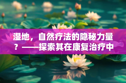 湿地，自然疗法的隐秘力量？——探索其在康复治疗中的潜在应用