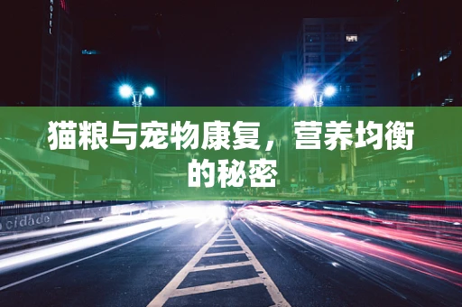 猫粮与宠物康复，营养均衡的秘密