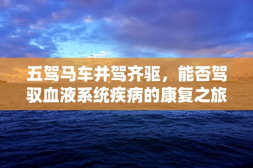 五驾马车并驾齐驱，能否驾驭血液系统疾病的康复之旅？