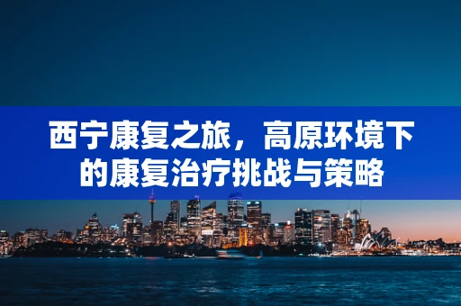 西宁康复之旅，高原环境下的康复治疗挑战与策略
