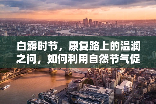 白露时节，康复路上的温润之问，如何利用自然节气促进患者康复？