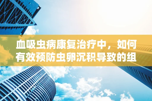 血吸虫病康复治疗中，如何有效预防虫卵沉积导致的组织纤维化？