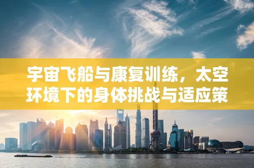 宇宙飞船与康复训练，太空环境下的身体挑战与适应策略