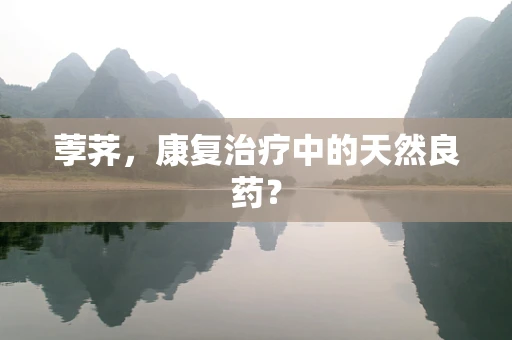 荸荠，康复治疗中的天然良药？