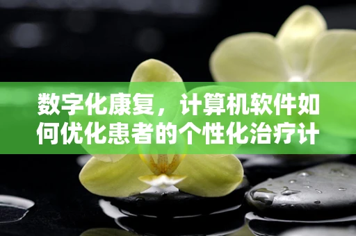 数字化康复，计算机软件如何优化患者的个性化治疗计划？