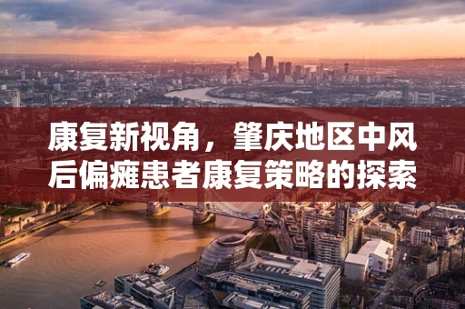 康复新视角，肇庆地区中风后偏瘫患者康复策略的探索