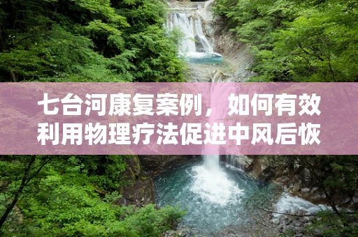 七台河康复案例，如何有效利用物理疗法促进中风后恢复？