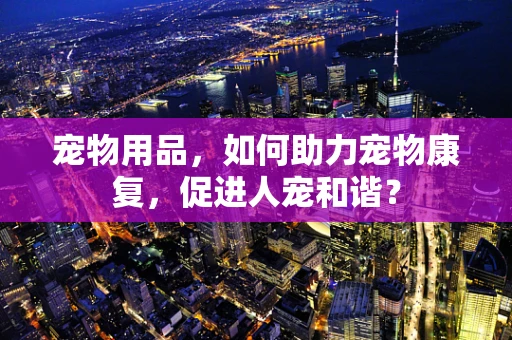 宠物用品，如何助力宠物康复，促进人宠和谐？
