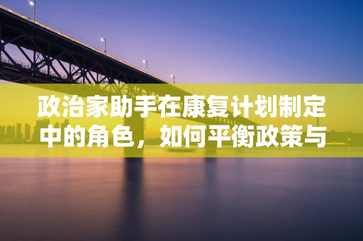 政治家助手在康复计划制定中的角色，如何平衡政策与个体需求？