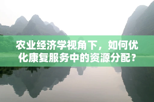 农业经济学视角下，如何优化康复服务中的资源分配？