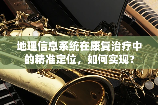 地理信息系统在康复治疗中的精准定位，如何实现？