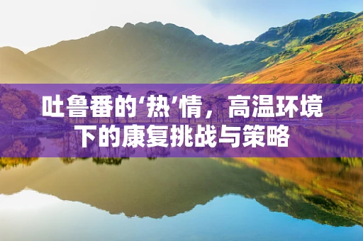 吐鲁番的‘热’情，高温环境下的康复挑战与策略