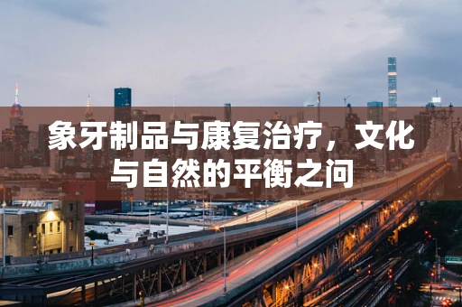 象牙制品与康复治疗，文化与自然的平衡之问