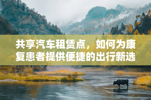 共享汽车租赁点，如何为康复患者提供便捷的出行新选择？