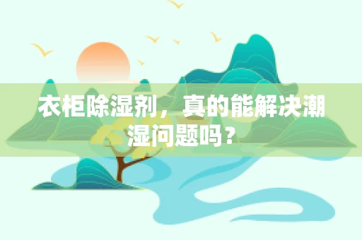 衣柜除湿剂，真的能解决潮湿问题吗？