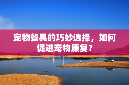宠物餐具的巧妙选择，如何促进宠物康复？