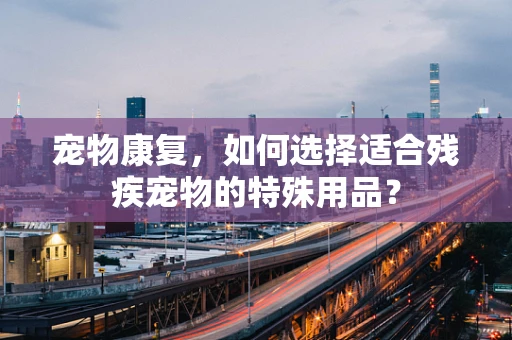 宠物康复，如何选择适合残疾宠物的特殊用品？