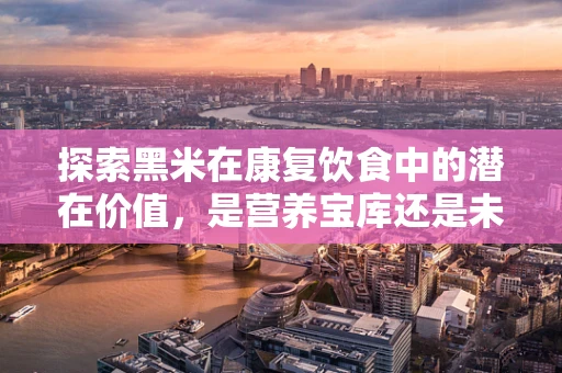探索黑米在康复饮食中的潜在价值，是营养宝库还是未知挑战？