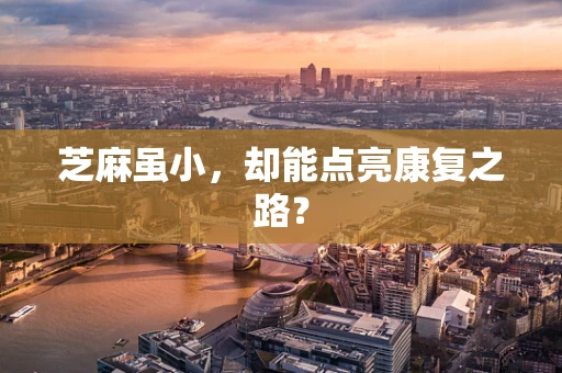 芝麻虽小，却能点亮康复之路？