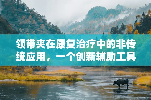 领带夹在康复治疗中的非传统应用，一个创新辅助工具的设想