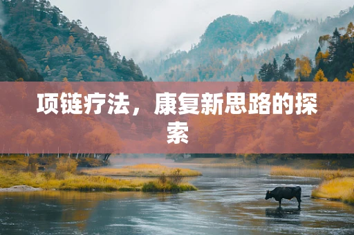 项链疗法，康复新思路的探索