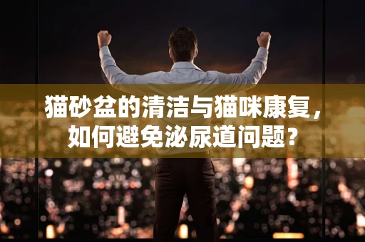 猫砂盆的清洁与猫咪康复，如何避免泌尿道问题？