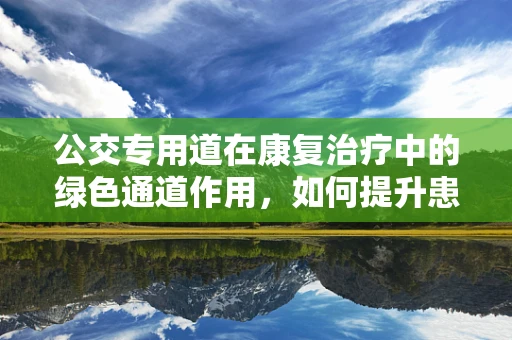 公交专用道在康复治疗中的绿色通道作用，如何提升患者出行效率？
