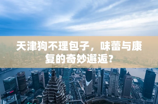 天津狗不理包子，味蕾与康复的奇妙邂逅？