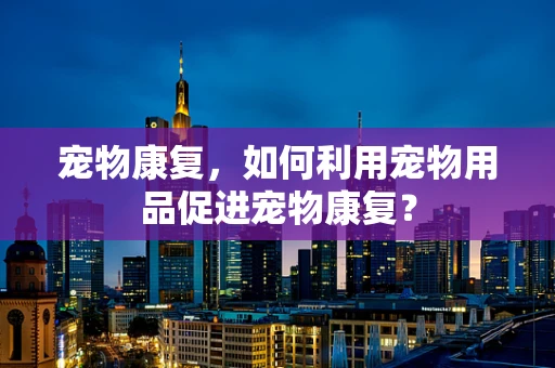 宠物康复，如何利用宠物用品促进宠物康复？
