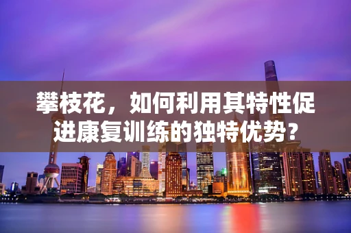 攀枝花，如何利用其特性促进康复训练的独特优势？