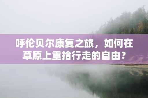 呼伦贝尔康复之旅，如何在草原上重拾行走的自由？