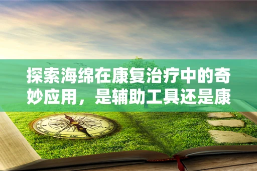 探索海绵在康复治疗中的奇妙应用，是辅助工具还是康复新思路？