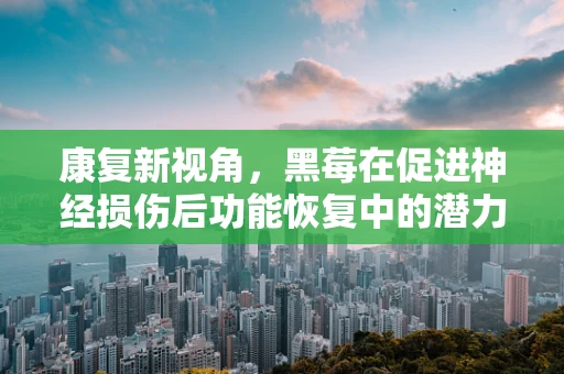 康复新视角，黑莓在促进神经损伤后功能恢复中的潜力